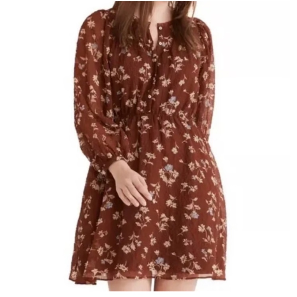 New Madewell Rust Floral Print Dress